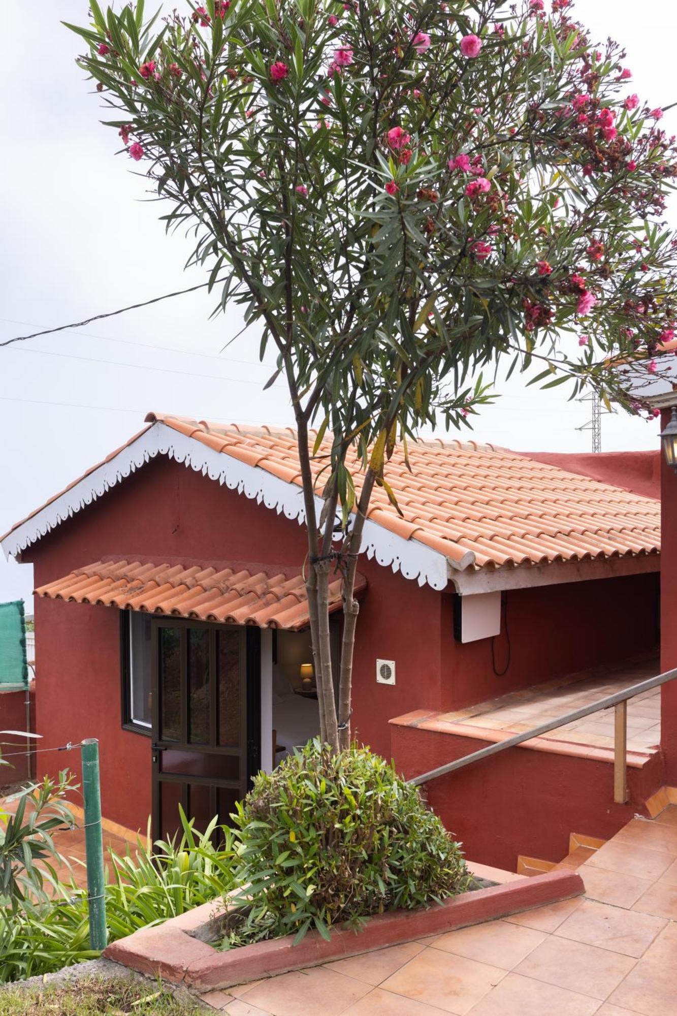 Home2Book Serene Retreat Isabel, Jacuzzi & Garden Icod el Alto Dış mekan fotoğraf